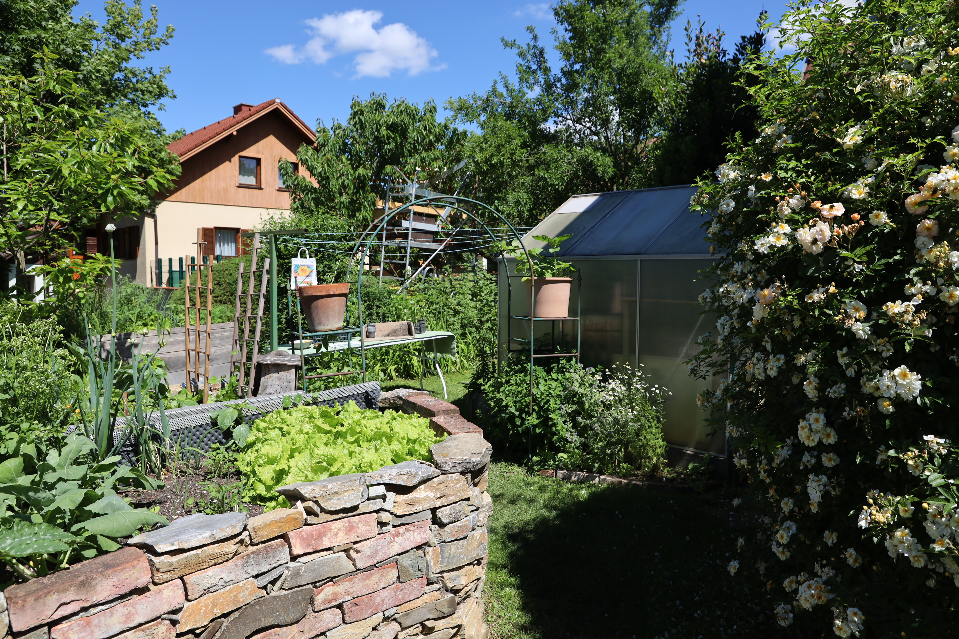 Gartenlandschaft – TOG Juni 2026