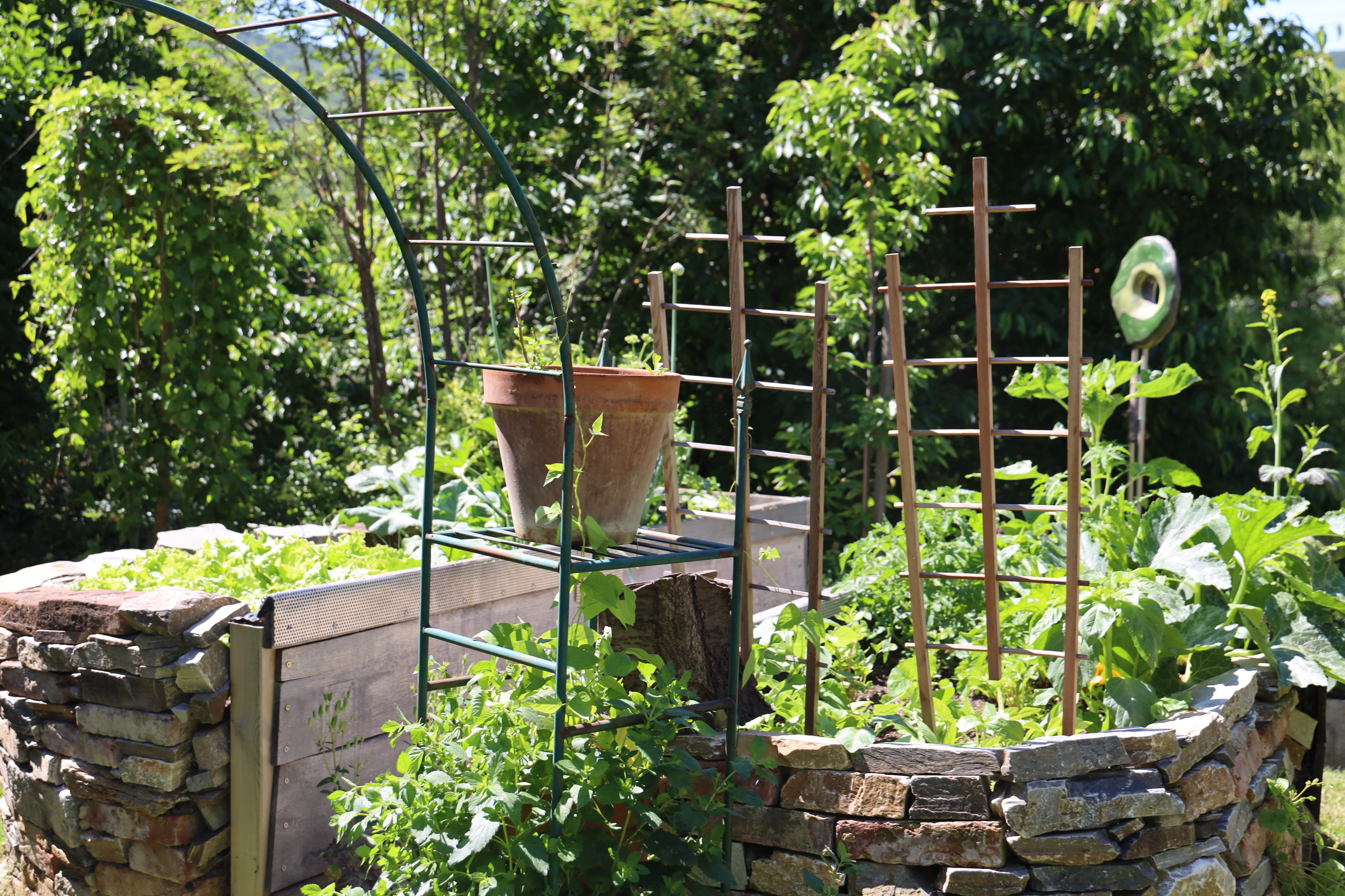 Gartenlandschaft – TOG Juni 2026