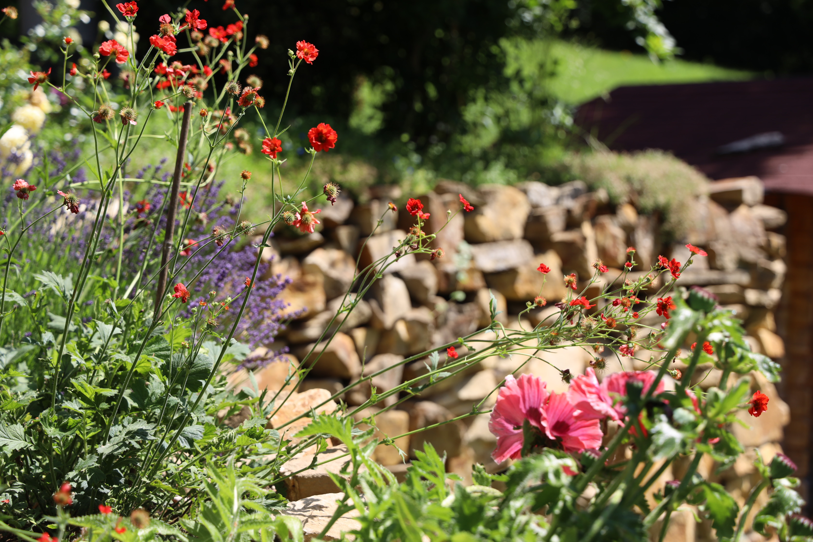 Gartenlandschaft – TOG Juni 2026