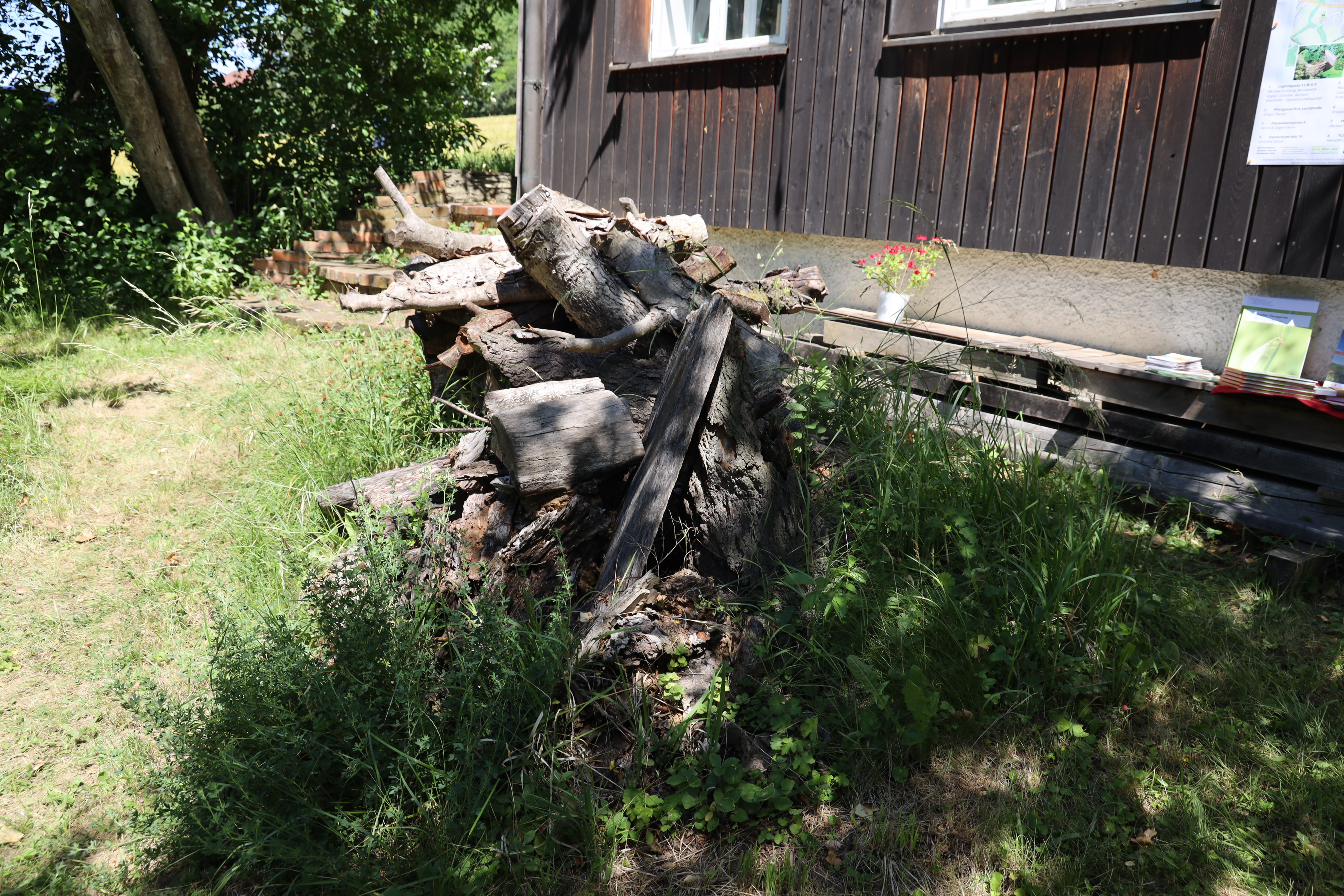 Gartenlandschaft – TOG Juni 2026
