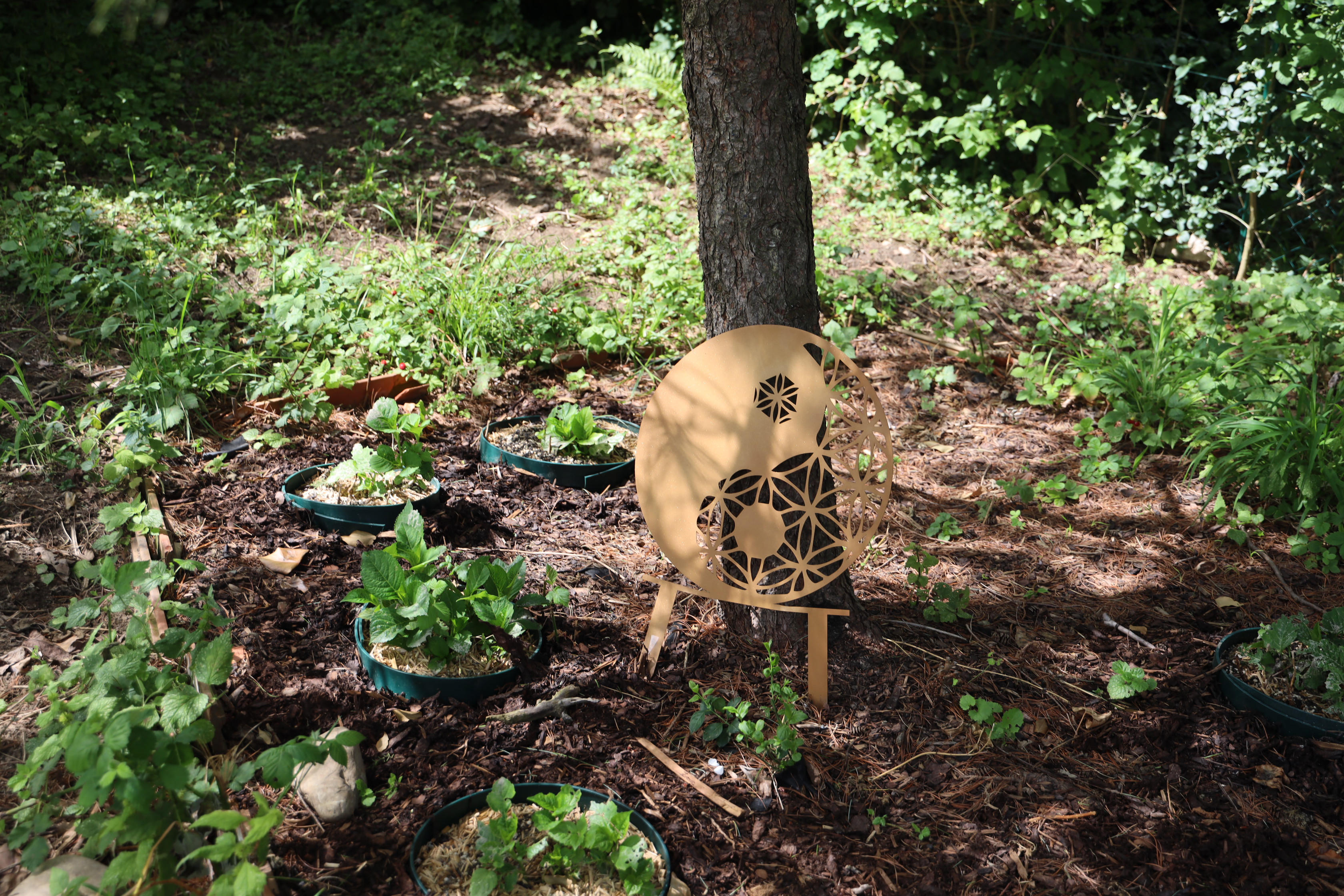 Gartenlandschaft – TOG Juni 2026