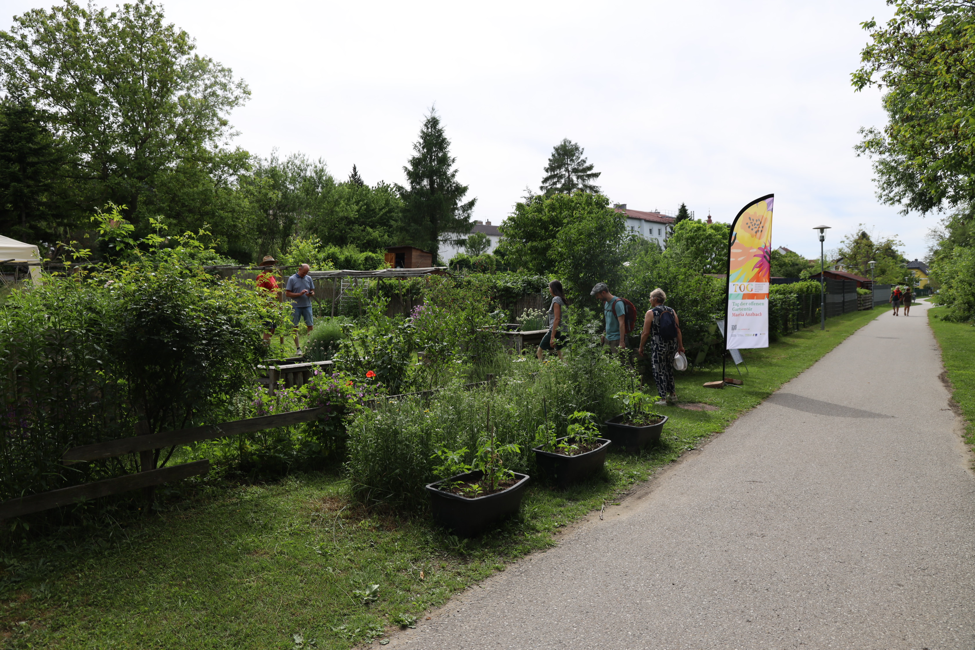 Gartenlandschaft – TOG Juni 2026