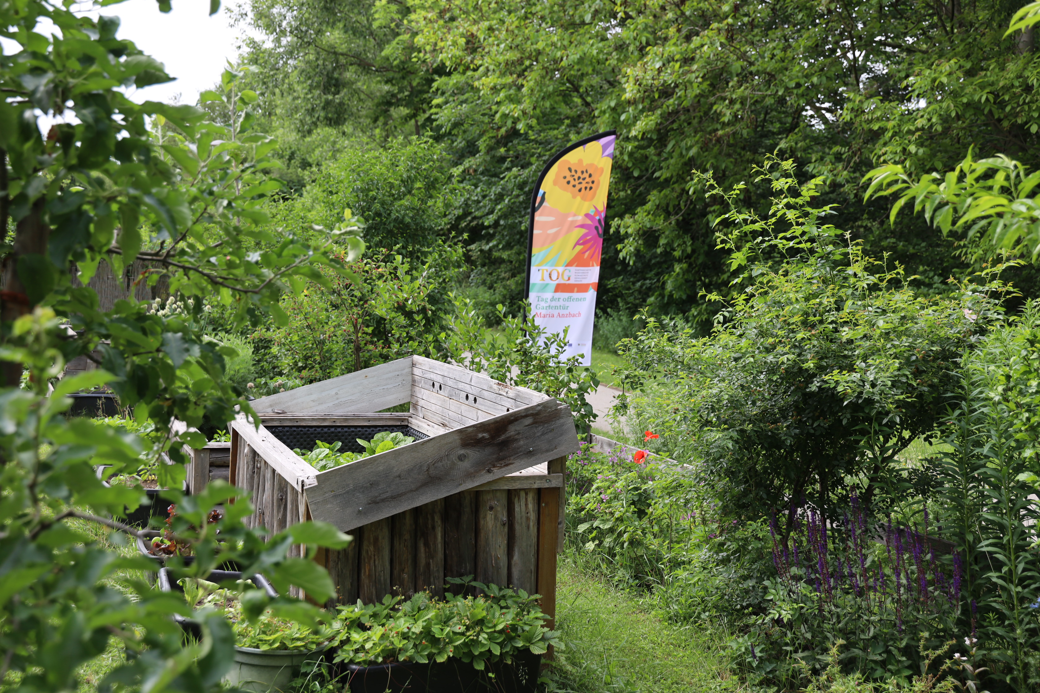 Gartenlandschaft – TOG Juni 2026
