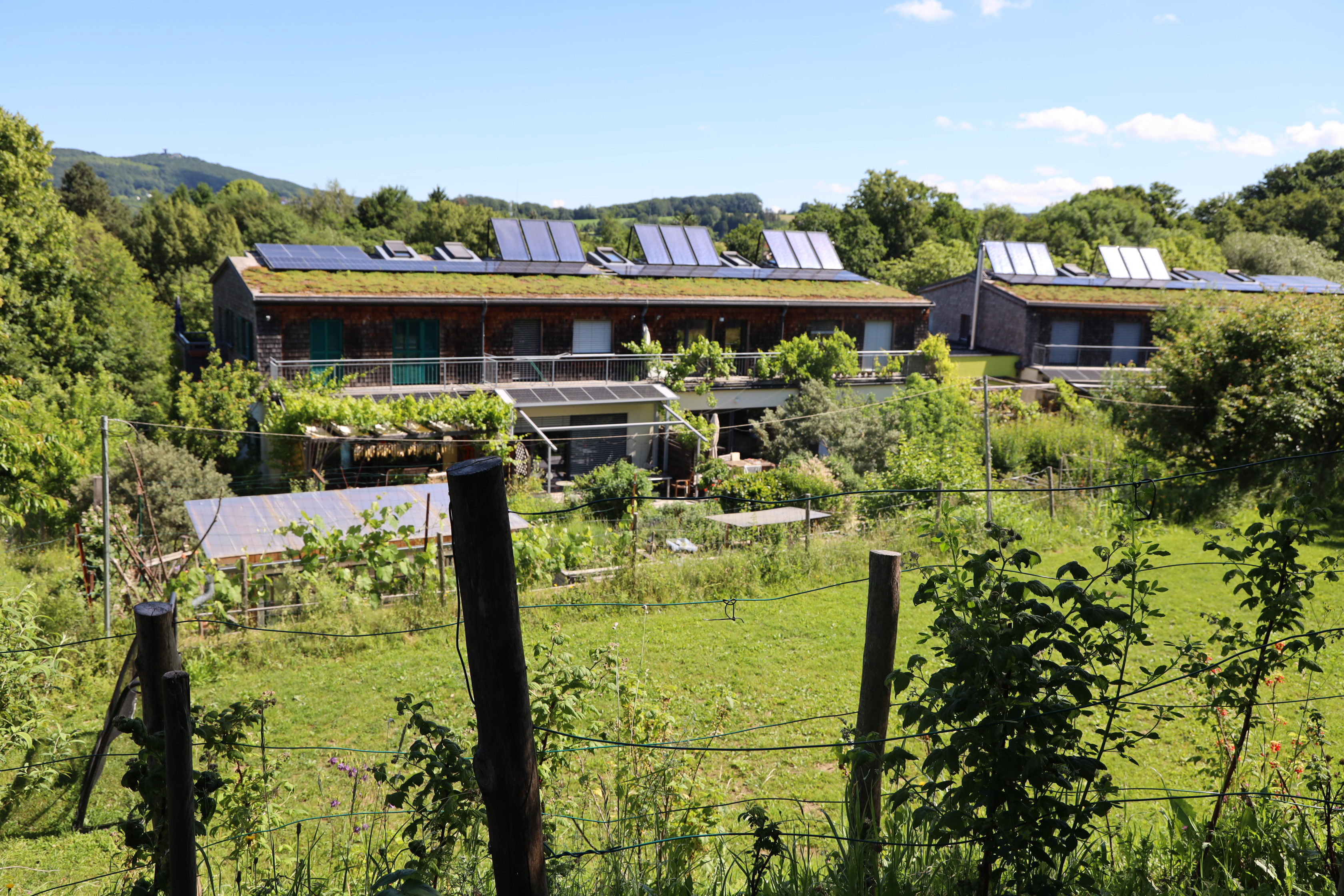 Gartenlandschaft – TOG Juni 2026
